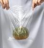 Ordiy Polybag Transparent 20 X 30cm Thickness 11 Polybag with String Standard Bag 100 Pieces 0.025mm No. LR025-11