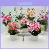 Butterfly Orchid Artificial Plant Indoor Decor With Plastic Material For Home Living Room Accent