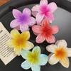 2025Hawaiian Summer Hair Claw Clips Set Tropical Flower Hairpins With Gradient Design Beach Vacation Hair Accessories Collection