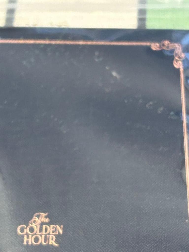 [USED] IU The GOLDEN HOUR 2022 mini photo book