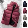 Heren vest jas ritssluiting opstaande kraag mouwloos dun vest met zakken effen kleur winddicht vest bovenkleding