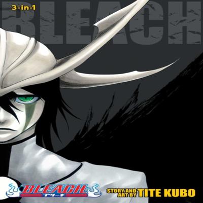 Bleach 3in1 Edition Vol. 14 by Tite Kubo Paperback Book 9781421585314