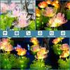 Luci Solari da Giardino Luci Solari a Forma di Fiori con Fiori e Steli Luminosi Luci Solari da Esterno per Decorazione Giardino Decorazione Cortile