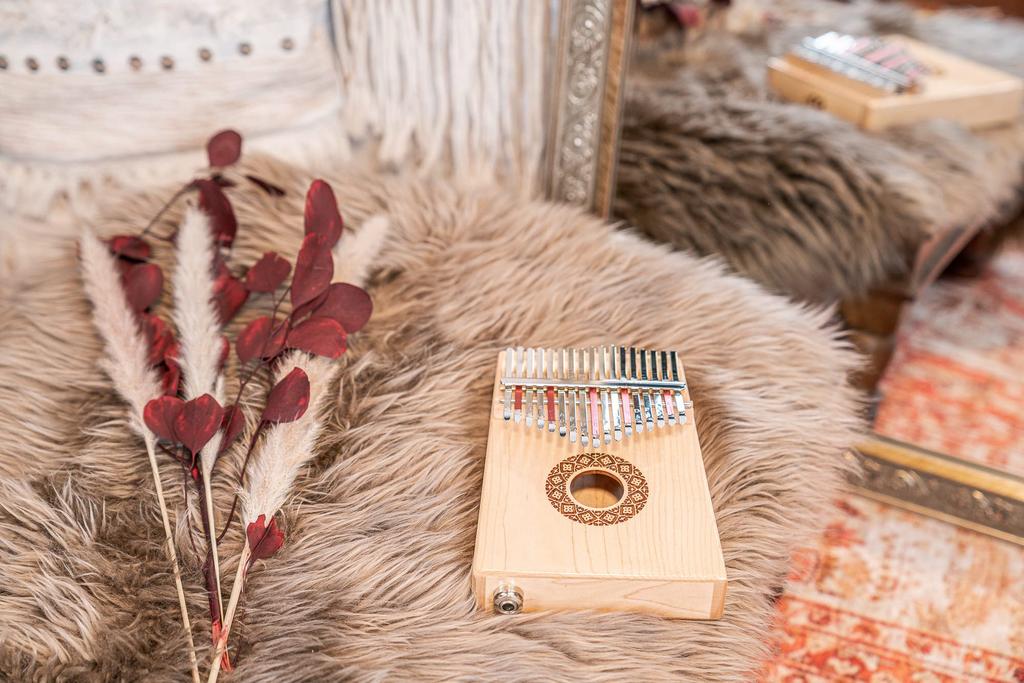 Kalimba électrique MEINL Sonic Energy Collection, 17 touches, érable, échelle en do majeur, marteau PKL1709H (Étui/sac/croix/tuning exclusif