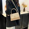 Korean Version of Textured Single Shoulder Oblique Span Bag Women's Fashion Bag Women's 2025 New Niche Design Commuter Handbag