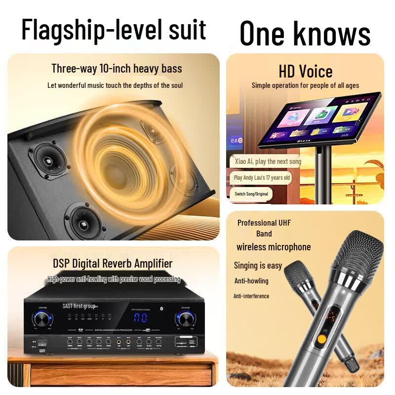 SAST Home Theater KTV Karaoke System (CN Version)