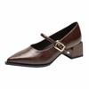 2025 Frühling Stil Spitzschuh Quadratischer Absatz Vielseitiger Stil Einzelne Schuhe Damenschuhe Mittel Professionell Schnalle Kleid Hohe Absätze