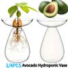 1/4PCS Avocado Hydroponic Vase Transparent Glass Avocado Tree Flower Vase Glass Planter Gardening Lovers Home Decor
