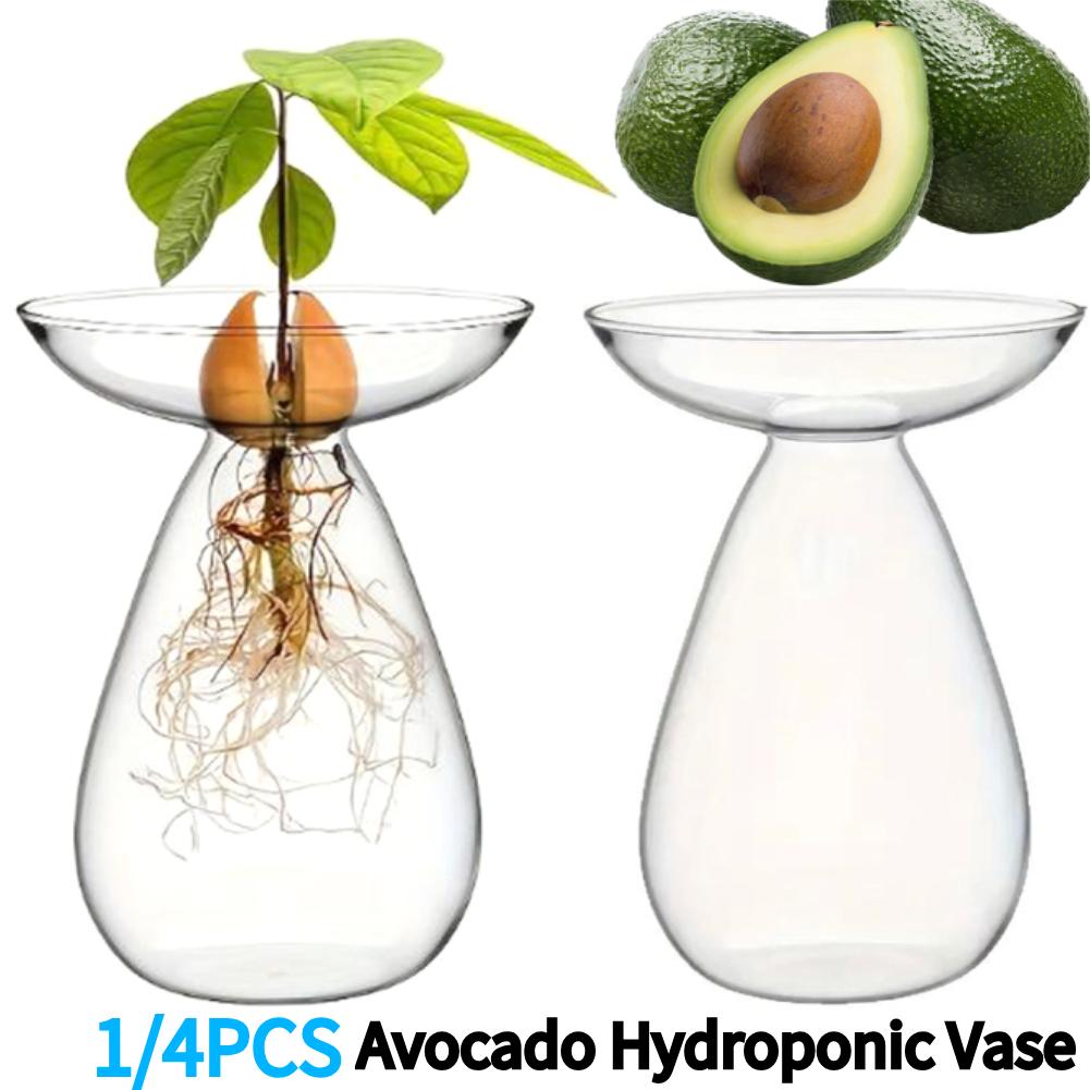1/4PCS Avocado Hydroponic Vase Transparent Glass Avocado Tree Flower Vase Glass Planter Gardening Lovers Home Decor