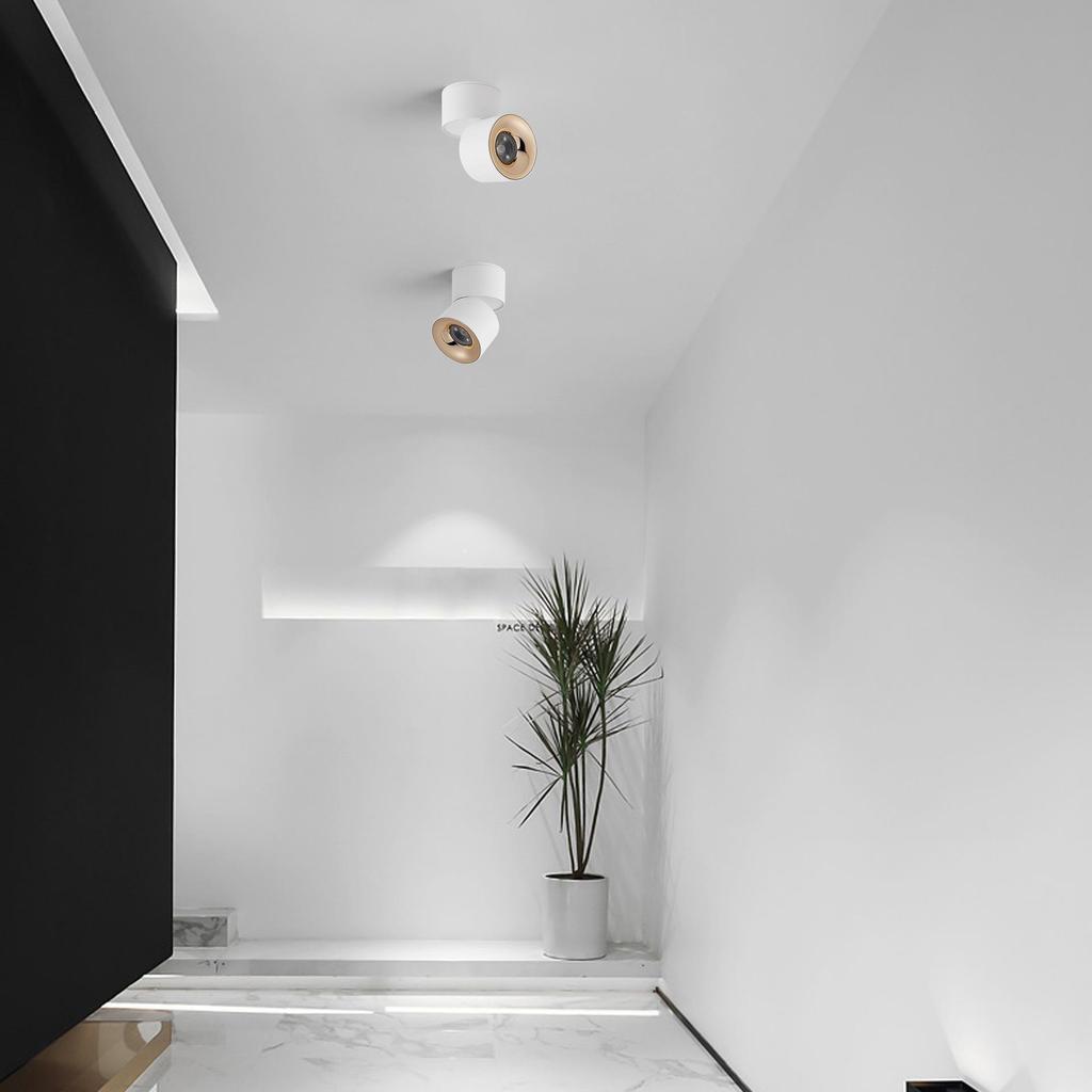 Foldable LED Spotlight: Adjustable Anti-Glare COB Surface Mounted Downlight for Living Room