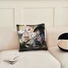 Game Honkai Star Rail Ashveil Cushion Cover Pillow Cover Decoration Room Home Sofa Living Office Car Nordic Simplicity