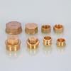 1/2 3/4" 1 Inch Male Female Thread Brass Pipe Hex Head End Cap Plug Fitting Quick Connector Ght  Brass Universal Faucet Adapter