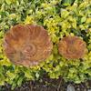 Flower Shape Metal Bird Bath Rusted Vintage Handcrafted Garden Birdbath Iron Art Rust-resistant Flower Garden Stake