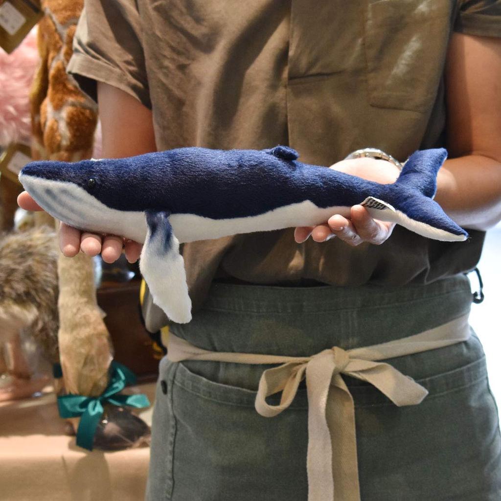 BH6285 HANSA Buckelwal 35