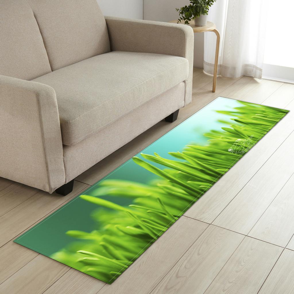 Fresh Absorbent Non-Slip Door Mat Toilet Kitchen Floor Mat Bedroom Living Room Carpet