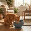 Neck Protection Silicone Pet Bowl Non-Slip Elevated Feeder Stable Dog Food Bowl  Pet Dining