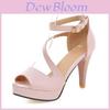 Chic And Timeless Women Summer Gladiator Sandals High Heels Platform Shoes For Every Occasion