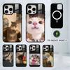 Pet Cat Funny Memes Phone Case For iPhone17,16,15,14,13,12,11 Plus,Pro Magnetic with Magsafe Wireless Charging