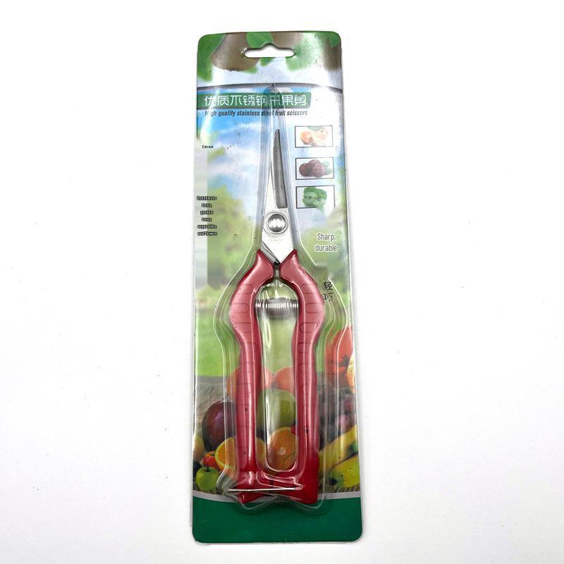 Forbici da potatura per uva e fiori in acciaio inossidabile disponibili - Forbici per giardino e piante in vaso