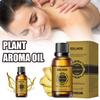 10ml Aromatherapy Oil Easy-using Compact Water-soluble Ginger Plant Aroma Essential Oil for Personal