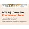 ISNTREE Grüner Tee Frischer Toner Mini