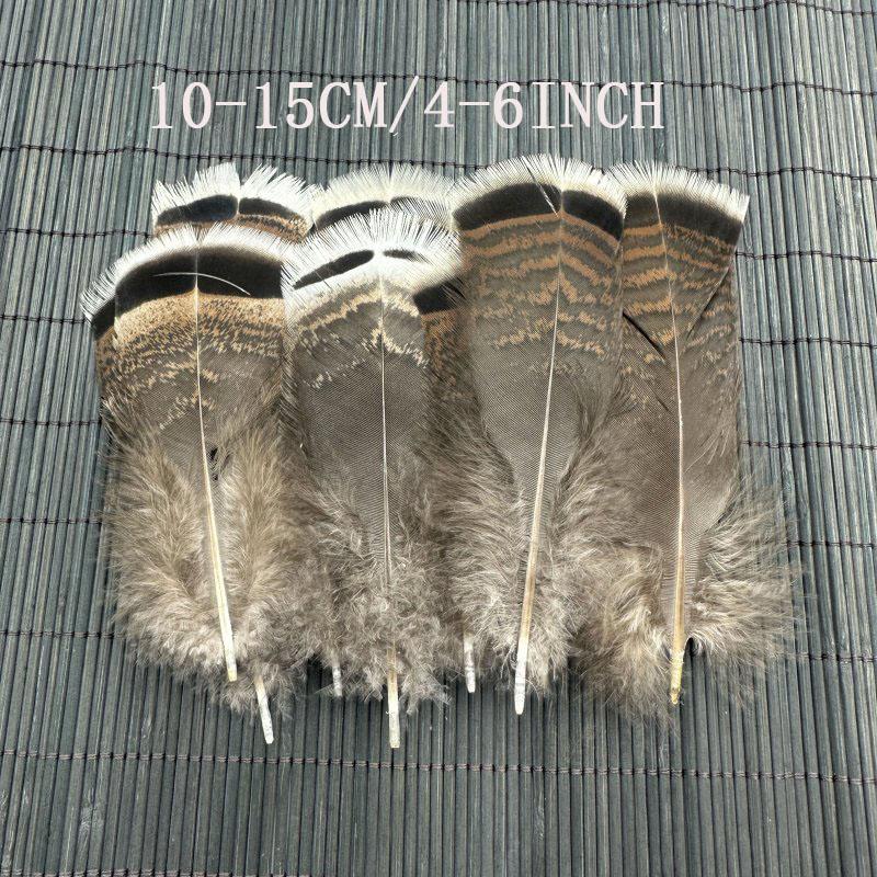 

Natural Turkey Tail Feather 10-30cm/10 4-12inch For Headwear Clothing Hats Party Plumas Diy Carnival Wedding Decoration 10PCS