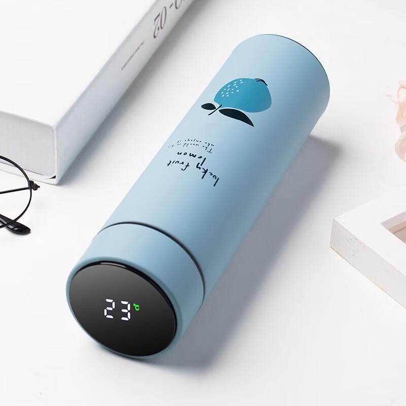 SX Mini Smart Insulated Water Bottle