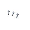 Brass Instrument Valve and Bottom Bracket Screws for Trombone and Trumpet