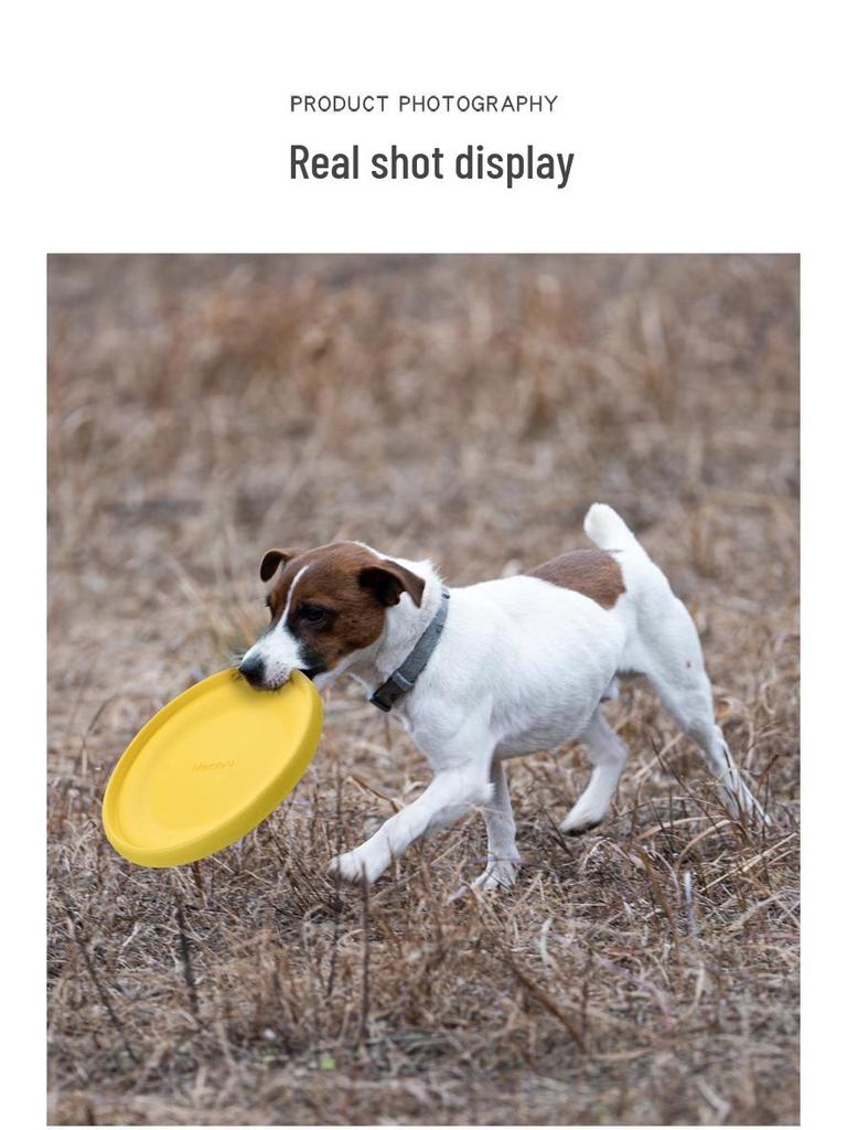 Meianju Foam Frisbee Soft Biteresistant Floating Interactive Dog Training Toy
