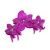 Elegant Floral Design Large Acetate Hair Claw Clip With Sparkling Rhinestones
