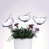3/5pcs Automatic Bird-Shaped Self-Watering Globes,Drip Irrigation Tools for Indoor & Outdoor,Decorative Globes for Potted Plants