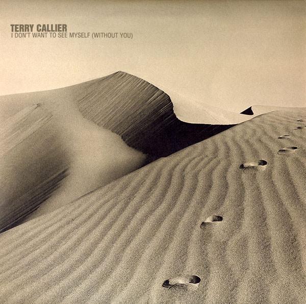 

12inch Record TERRY CALLIER - I Don t Want To See Myself (Without TLX52 Talkin Loud 1999 UK Dance & Electronica Used