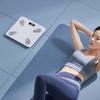 Sensei A2 Digital Body Fat Scale (CN version)