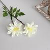 2 Köpfe Künstliche Dahlienblumen Realistisches Seiden-Dahlien-Strauß mit langem Stiel 28 Zoll Herbst-Blumenarrangement für DIY-Hochzeits-Tischdekoration Zuhause