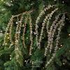Realistic Artificial Christmas Crystal Twig Sparkling Xmas Tree Crystal Branches  Winter Wedding