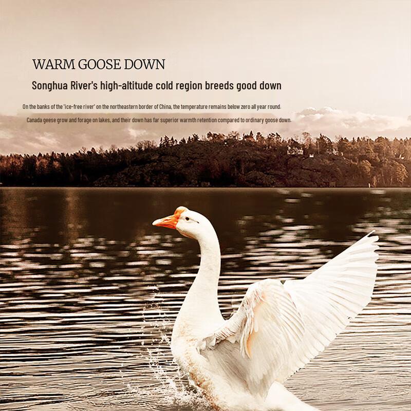 Mercury Home Textiles White Goose Down Quilt