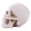 Pottery Simulation Skull Ornament Refractory Halloween Skull Props Fire Pit Skull  Fireplace