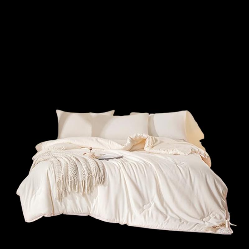 Duoxi ai Jingya Class A Four Seasons Duvet Insert