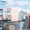 Stainless Steel Balcony Clothes Drying Rack DB-502