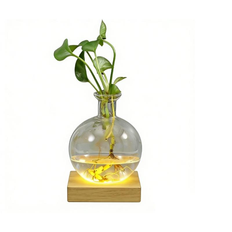 

LED Illuminated Hydroponic Glass Vases For Visible Plant Root Growth Display And Ambients Night Light Decoration Home Office