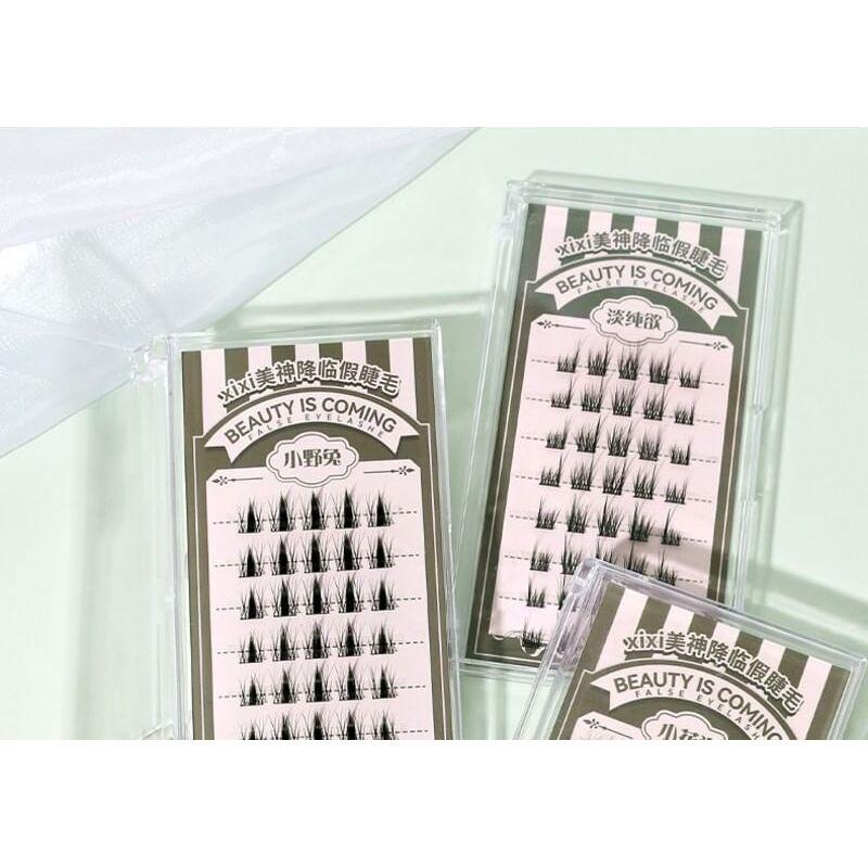 Xixi - Beauty Descending False Eyelashes - Little Hare