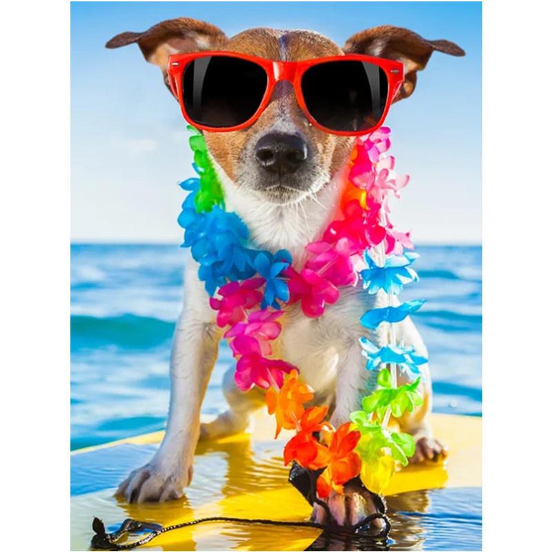 

5D DIY Алмазная картина Happy Cool Beach Dog Алмазная вышивка Набор для вышивки крестом Полный горный хрусталь Мозаика Домашний декор Square 20x30cm
