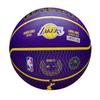 Wilson NBA Basketball