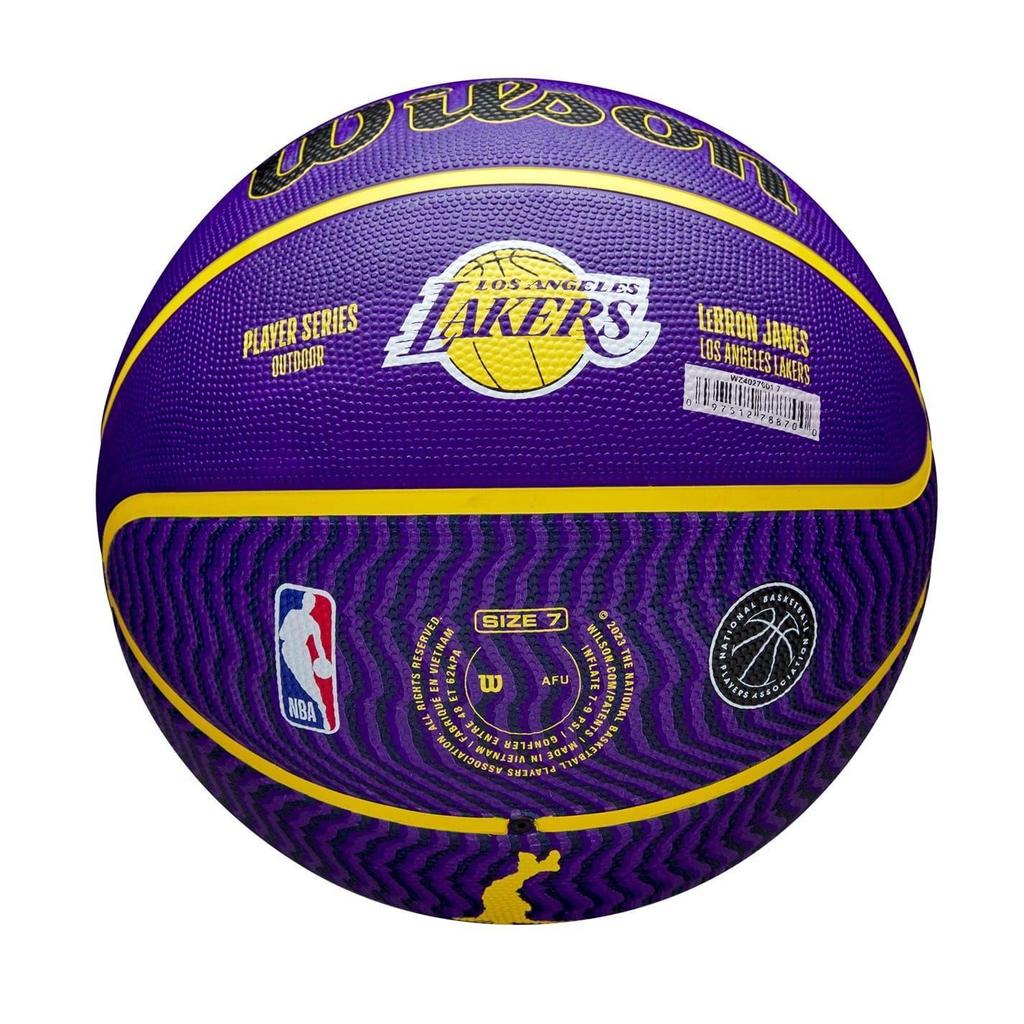 Wilson NBA Basketball