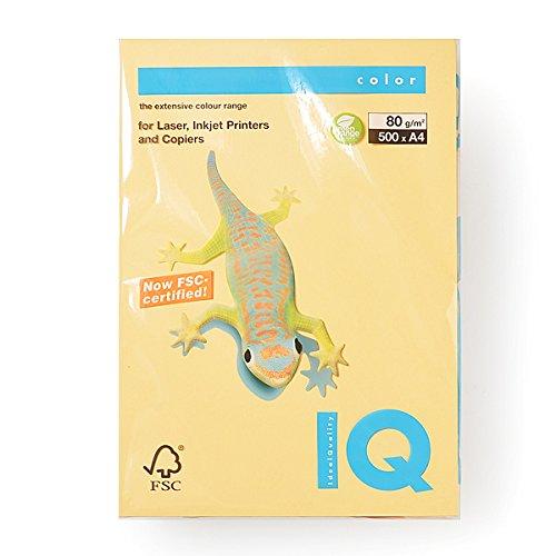 

Bio Top Color Gold A4/80g 500T