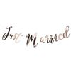Rose  Just Married Mr & Mrs Team Bride English Words Wedding Party Banner Decoration String Flag