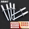 Haisidick DIN7337A Open End Flat Head Blind Rivet