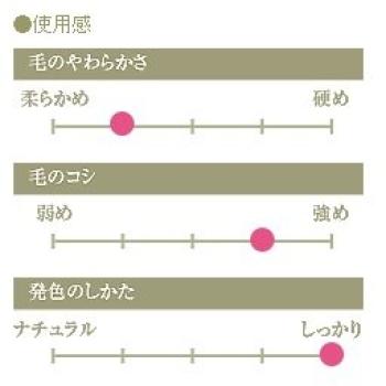 Kumano Brush Chikuhodo Lip Brush Itachi Makeup Brush (Makeup Brush) G-7