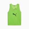 Puma BIB Men's Tag Green 65725151 R M