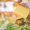 long spout flowers watering pot 2L plant watering kettle Garden Watering Can Outdoor Fine Mist for Flowers and Vegetables